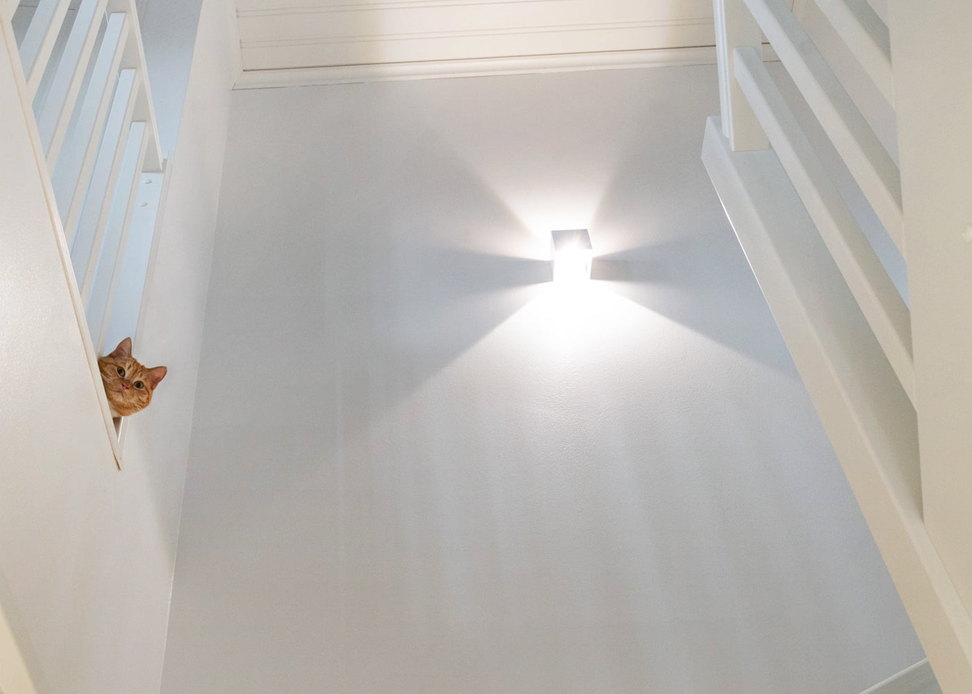 Blog - LedStore Blog - LedStore