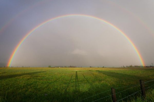 Économiser l&rsquo;électricité grâce à l&rsquo;éclairage