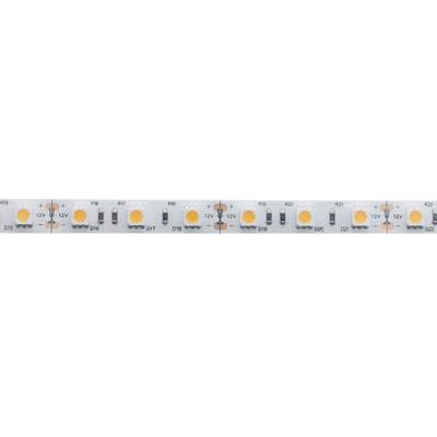 Gros plan d'une bande de LED blanches avec de petites LED circulaires régulièrement espacées et des résistances dans un motif linéaire pour un éclairage efficace.