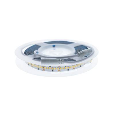 Ruban LED en rouleau, connecteurs apparents, fond blanc. Solution d'éclairage économe en énergie.