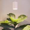 Go to image 1
