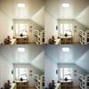 Go to image 8