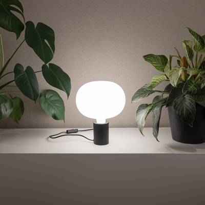 Lampe de table LED moderne avec abat-jour rond blanc sur étagère, entourée de plantes vertes en pot pour un éclairage d'intérieur élégant.