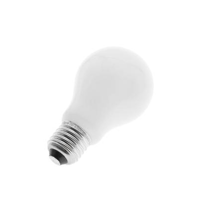 Ampoule ouragan avec culot blanc argenté, boutique d'éclairage LED