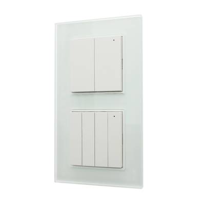 Panneau d'interrupteur double avec un design élégant sur fond blanc, style minimaliste, parfait pour les intérieurs modernes. Améliorez facilement votre contrôle de l'éclairage.