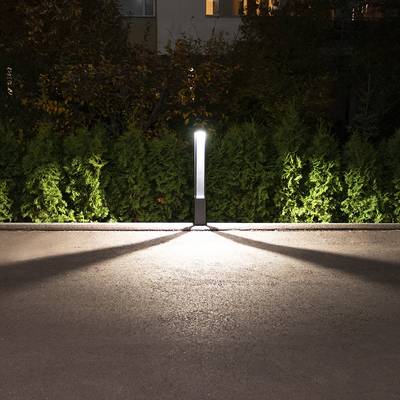 Un chemin nocturne éclairé par une seule colonne d'éclairage LED projetant de longues ombres, entouré d'arbustes verdoyants ; idéal pour l'éclairage extérieur.