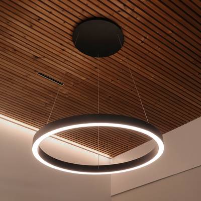 Eclairage latéral LED HOOP, température de couleur réglable, dimmable, 25W+15W, CRI95, IP44, noir mat