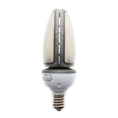 Ampoule LED E40, ellipse, 50W, 4000K, IP65