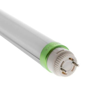 Détail d'un tube LED, anneau de connexion vert, deux broches, fond blanc - une solution d'éclairage économe en énergie.
