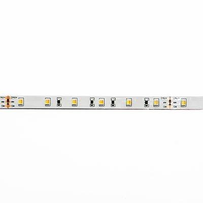 Bande LED en gros plan sur fond blanc, mettant en évidence les LED individuelles et les détails du circuit pour des solutions d'éclairage modernes et économes en énergie.