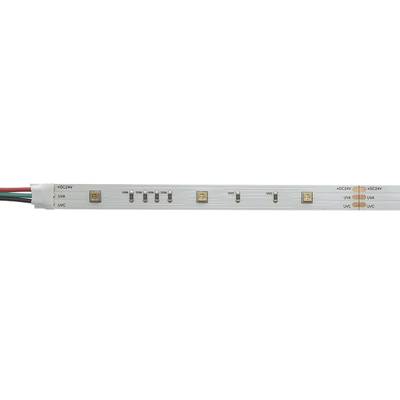 Gros plan sur une bande LED dont les segments et les conducteurs sont visibles, idéale pour les solutions d'éclairage à faible consommation d'énergie.