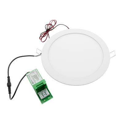 Luminaire rond à LED blanches avec câblage et composants électroniques verts, idéal pour les solutions d'éclairage à faible consommation d'énergie.