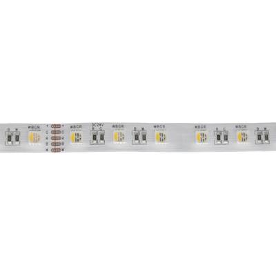 Gros plan sur une bande lumineuse flexible à LED blanches avec des puces LED multicolores. Idéale pour l'éclairage d'accentuation et d'ambiance dans les maisons ou les entreprises.