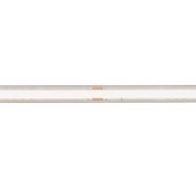 Gros plan d'un thermomètre à mercure précis avec des marquages de température clairs et un niveau de mercure précis dans un tube de verre étroit.