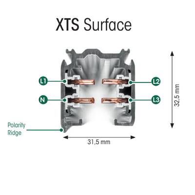 Schéma en coupe du rail XTS Surface LED, pièces marquées L1, L2, L3, N. Dimensions : hauteur 32,5 mm, largeur 31,5 mm. Brosse de polarité mise en évidence.