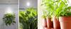 Lampes LED pour plantes Lampes LED pour plantes