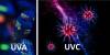 Bande LED UV Bande LED UV