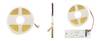bande LED CCT 2 fils bande LED CCT 2 fils