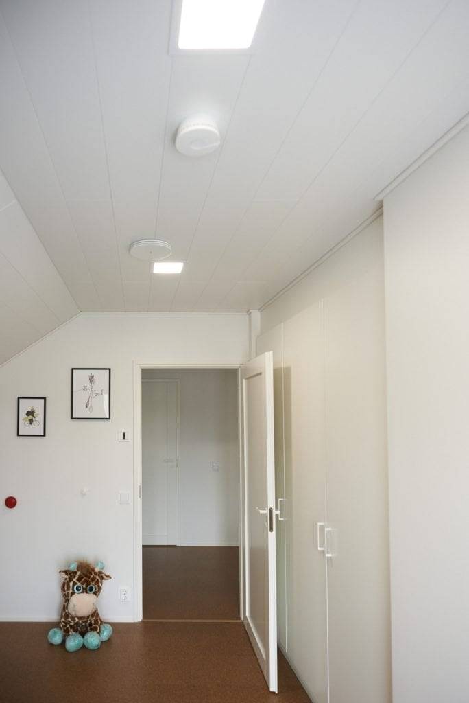 Logo de magasin LED sur fond vert avec le texte en gras "LED STORE" à l'intérieur d'un carré blanc, représentant des solutions d'éclairage à faible consommation d'énergie.
