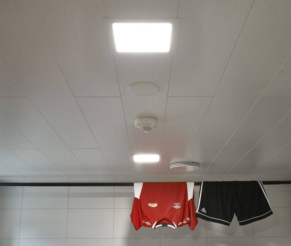 Un fond vert avec un carré blanc au milieu et le texte "LED STORE" à l'intérieur, mettant en valeur les solutions d'éclairage à faible consommation d'énergie.