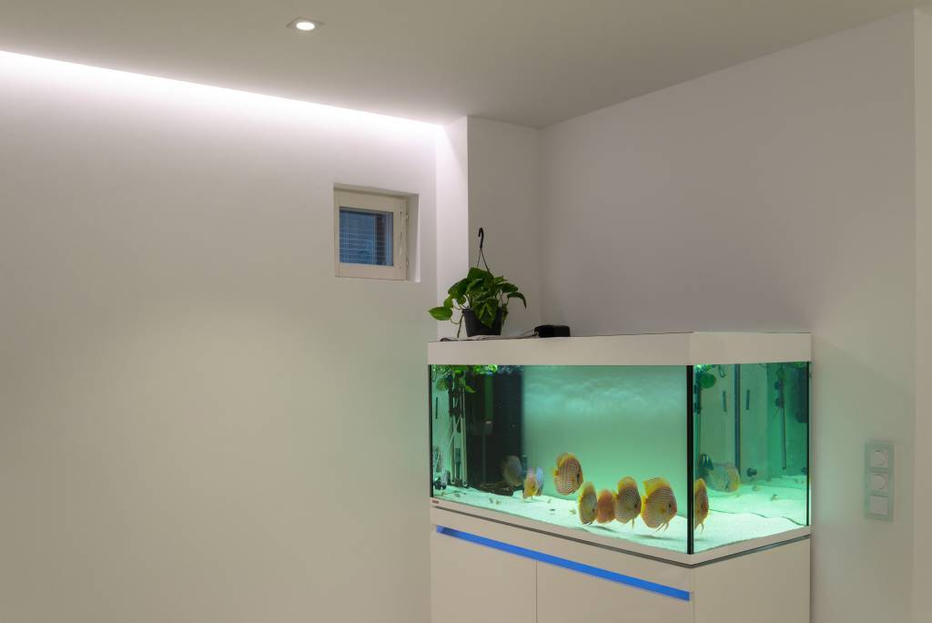 Fond vert avec un carré blanc montrant "LED STORE" en lettres capitales grasses et blanches au milieu d'une promotion d'un magasin d'éclairage LED.