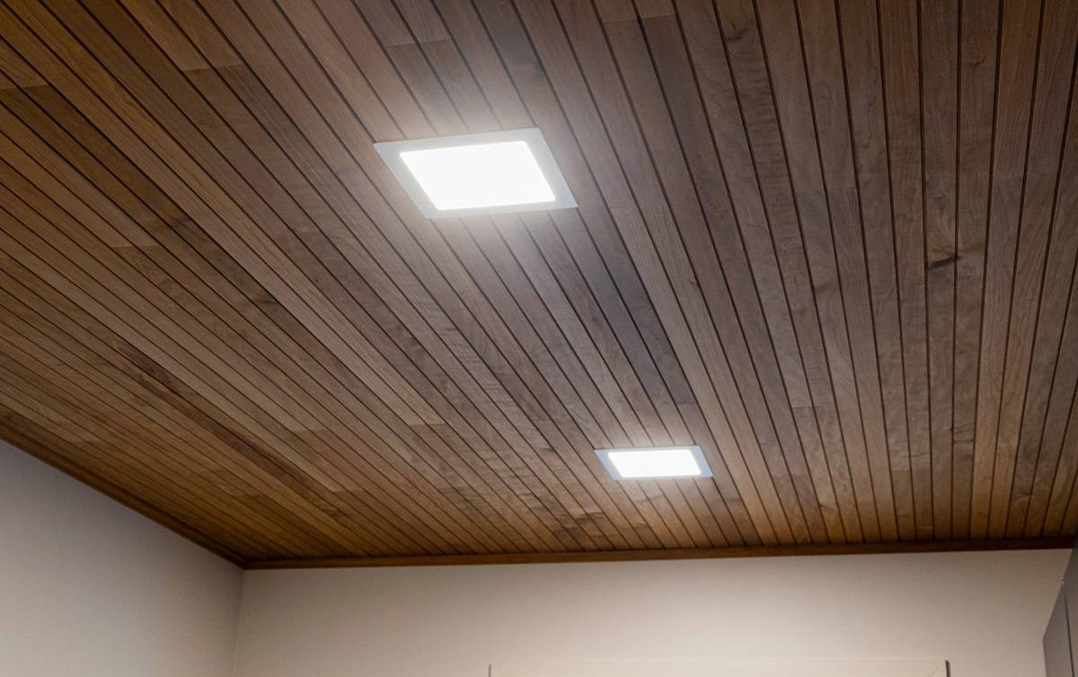 Deux panneaux LED rectangulaires encastrés dans le plafond.