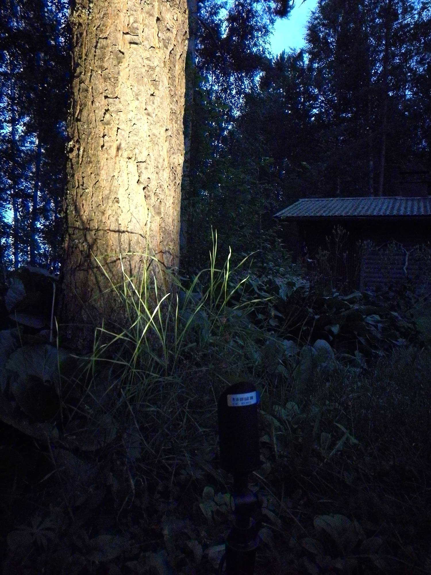 Belle lumière d\'accentuation à l\'extérieur avec une lumière de maquis, dirigée vers un arbre. Ledstore.fi