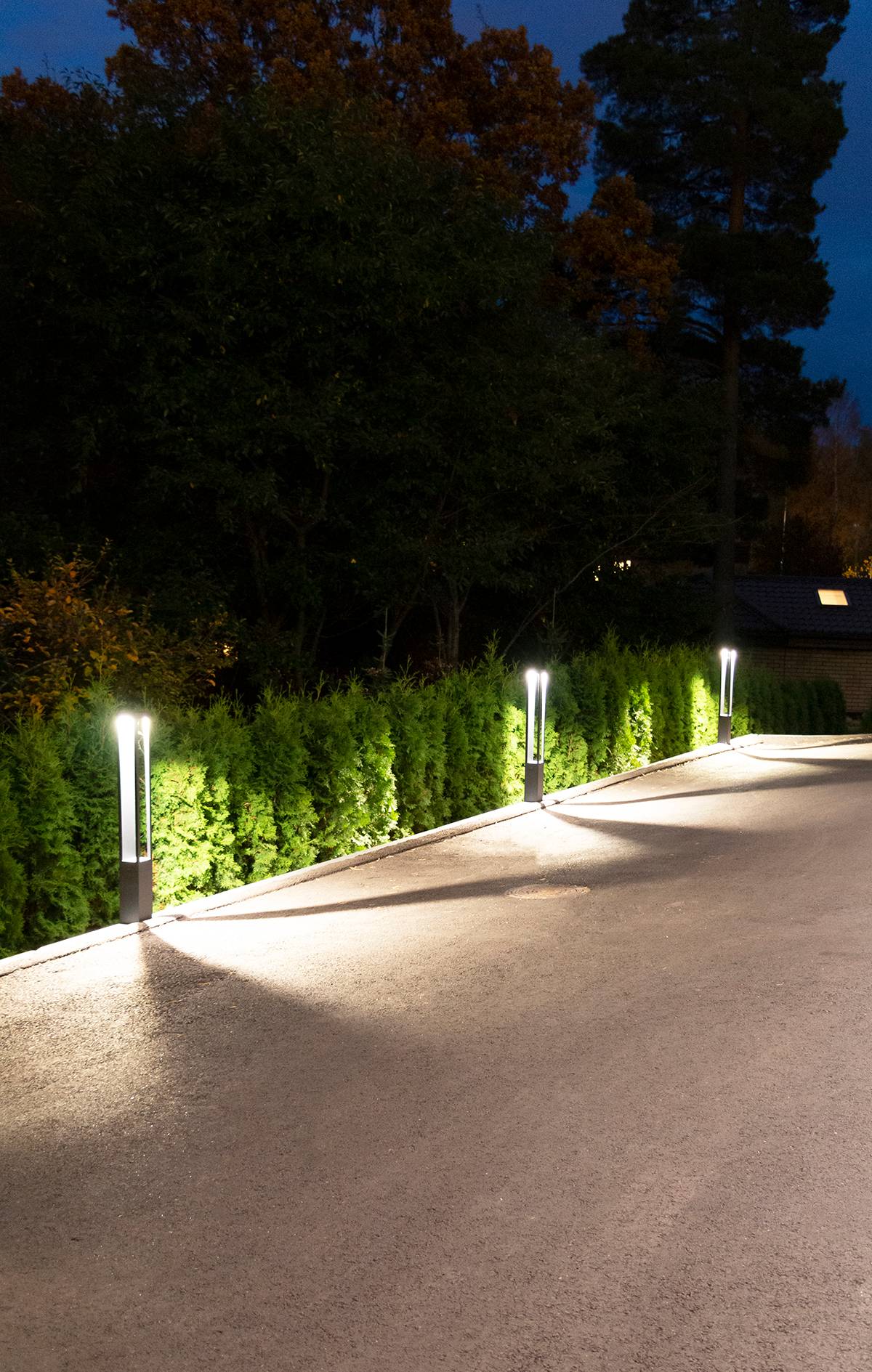 Fond vert avec un carré blanc au milieu avec le texte "LED STORE" pour des solutions d'éclairage à faible consommation d'énergie.