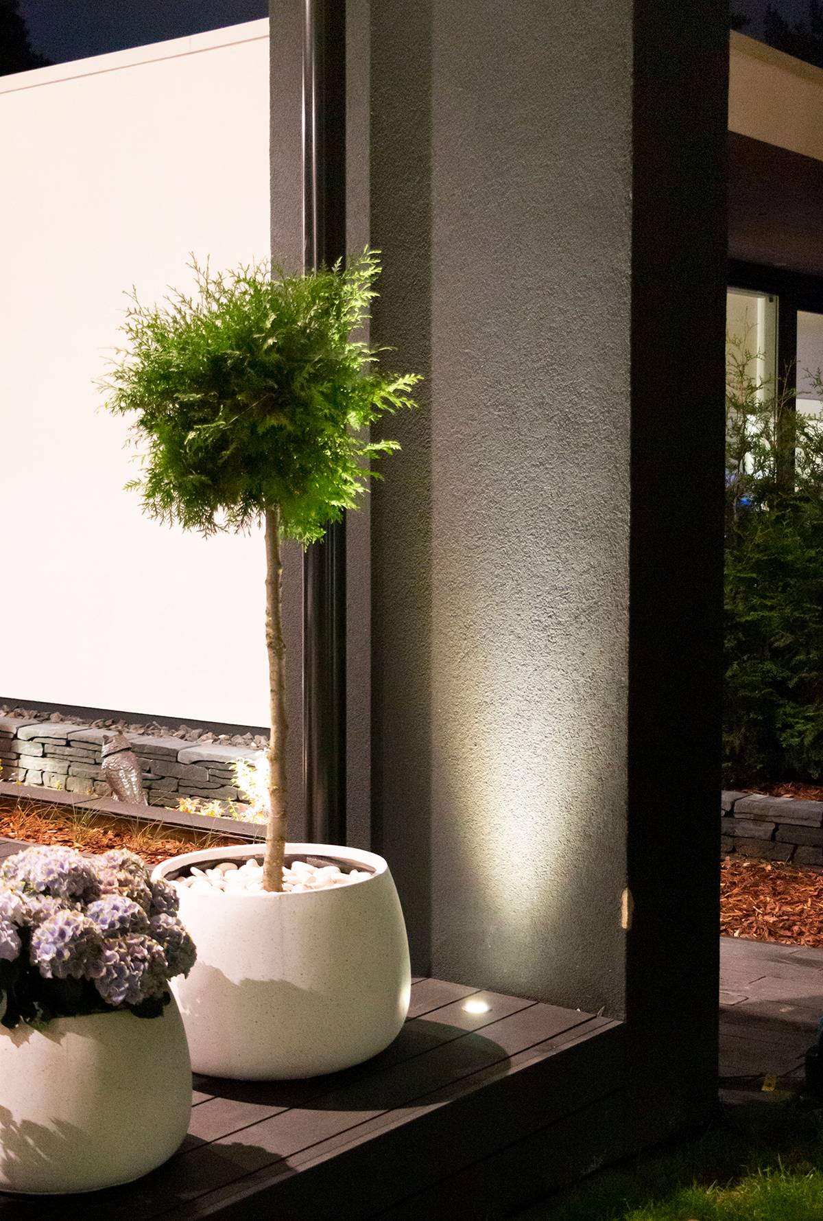 Logo LED Store sur fond vert avec "LED STORE" écrit en gras et en blanc à l'intérieur de la boîte.