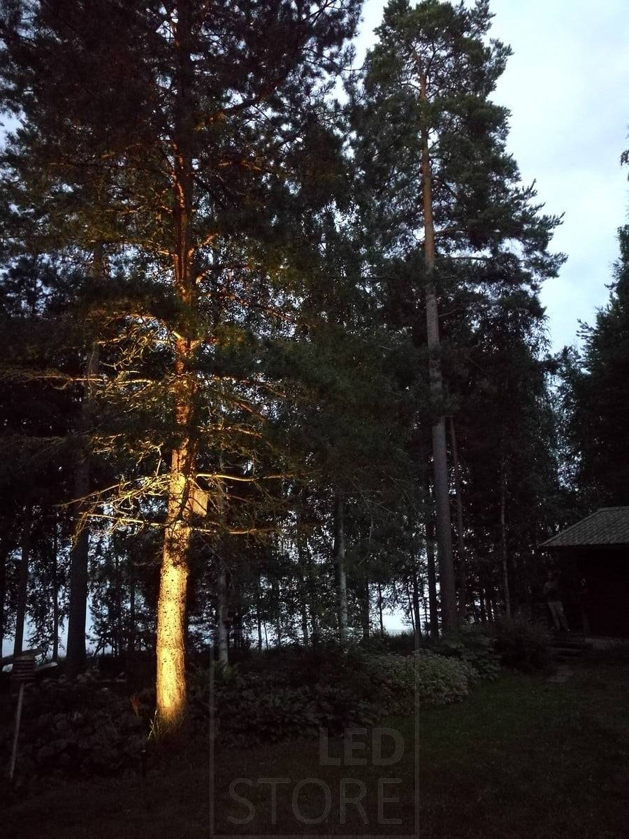Pointe de lumière au sol à leds éclairant et mettant en valeur un arbre. L'éclairage est atmosphérique et indirect. Ledstore.fi