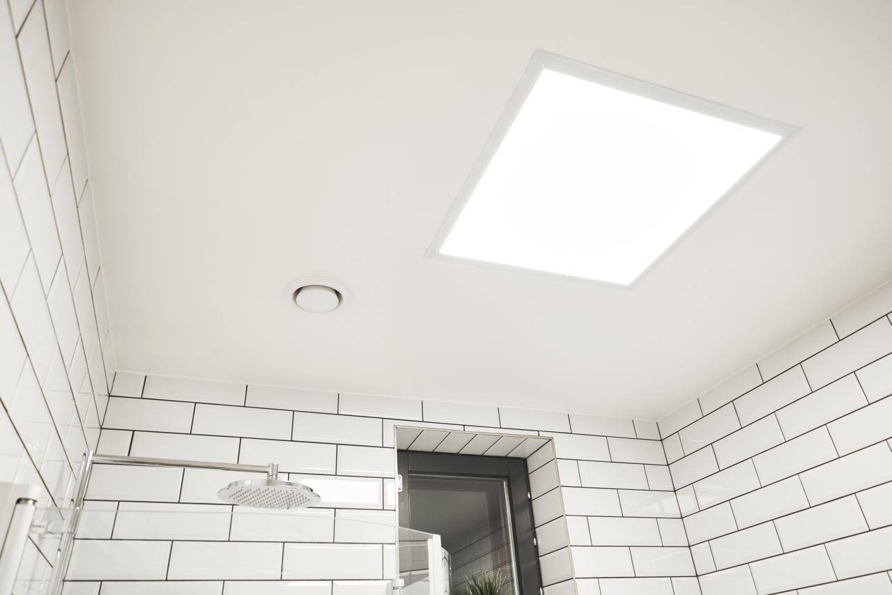 Fond vert et carré blanc avec "LED STORE" - Solutions d'éclairage à faible consommation d'énergie pour les particuliers et les entreprises.