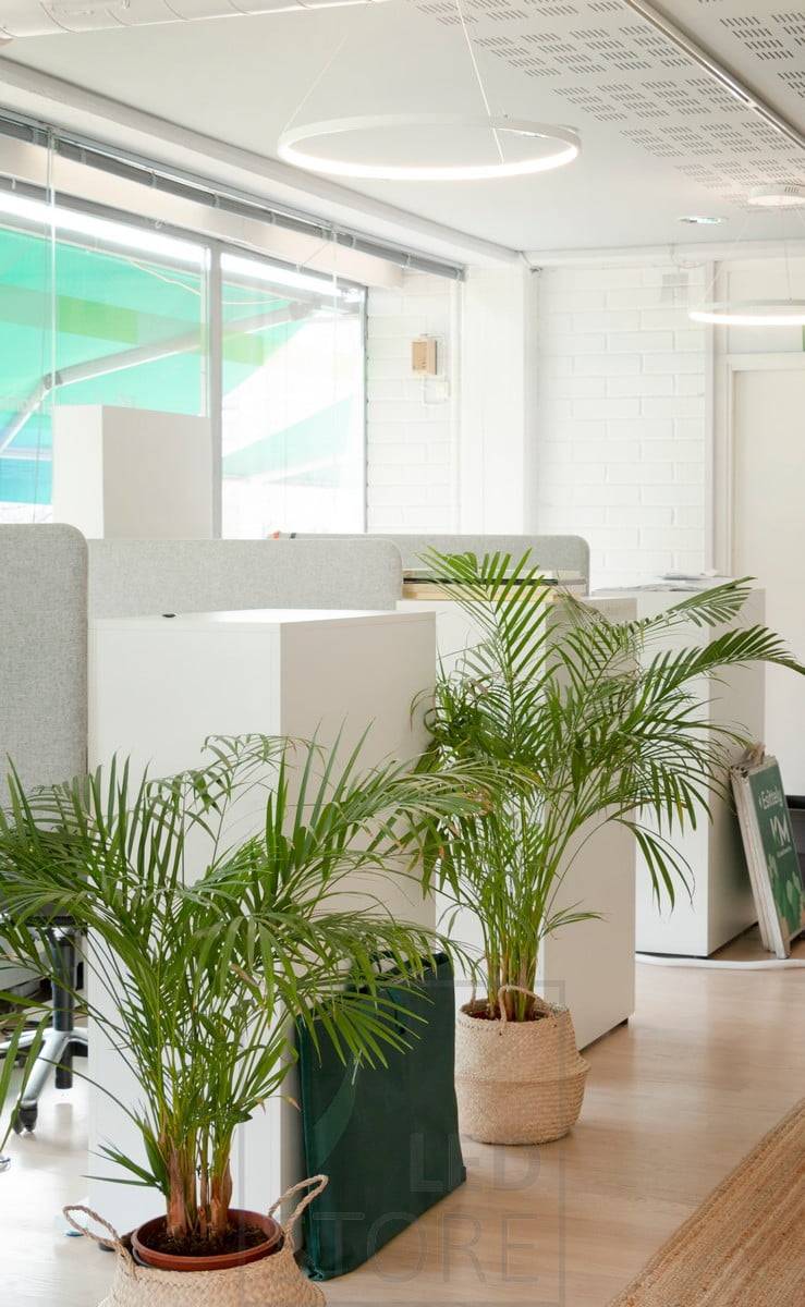 Au plafond, les luminaires suspendus RINKELI sont élégants et minimalistes. Ils conviennent aussi bien à la maison qu'au bureau. Ledstore.fi