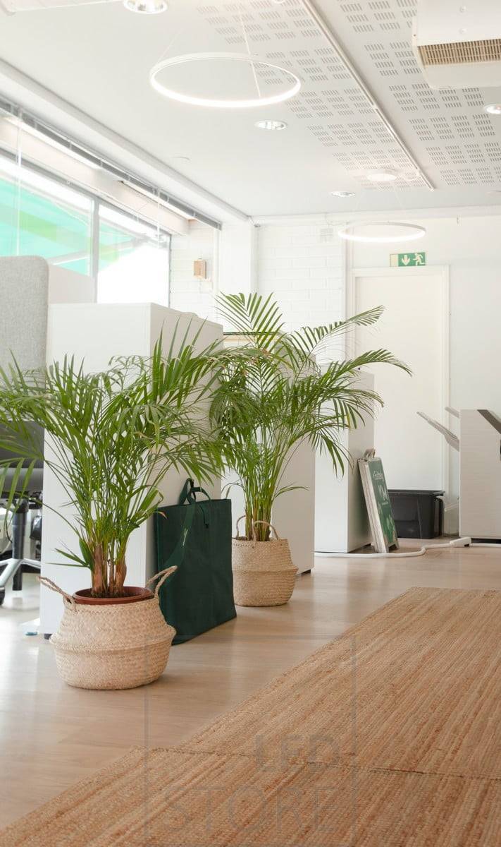 Le bureau est éclairé par des luminaires suspendus RINKELI gracieux et minimalistes. L'éclairage est agréable, uniforme, réglable et n'éblouit pas la tête de l'écran pendant le travail. Ledstore.fi