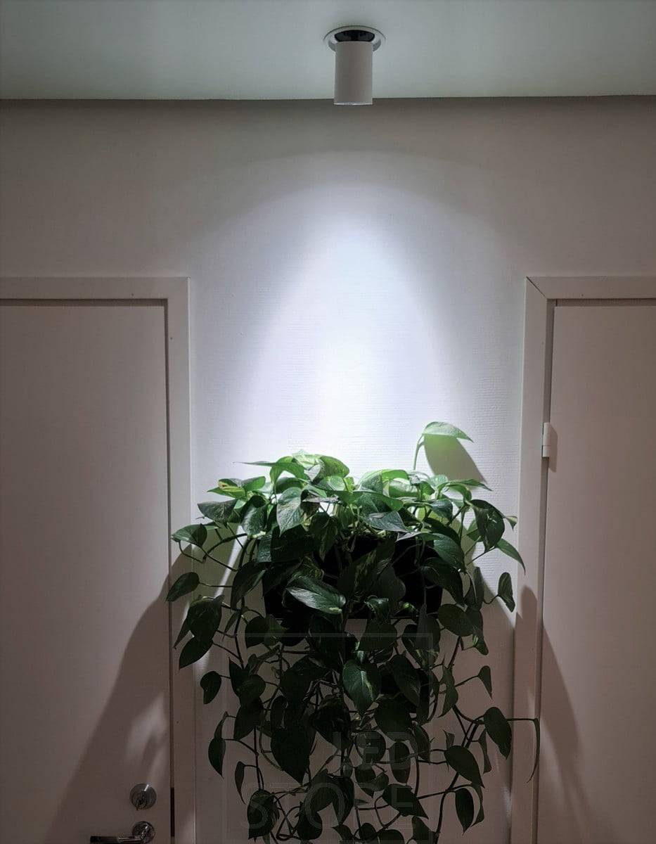 Projecteur à leds KOLO orienté vers la plante. Fonctionne comme un éclairage de plantes grâce à son bon indice de rendu des couleurs. Ledstore.fi