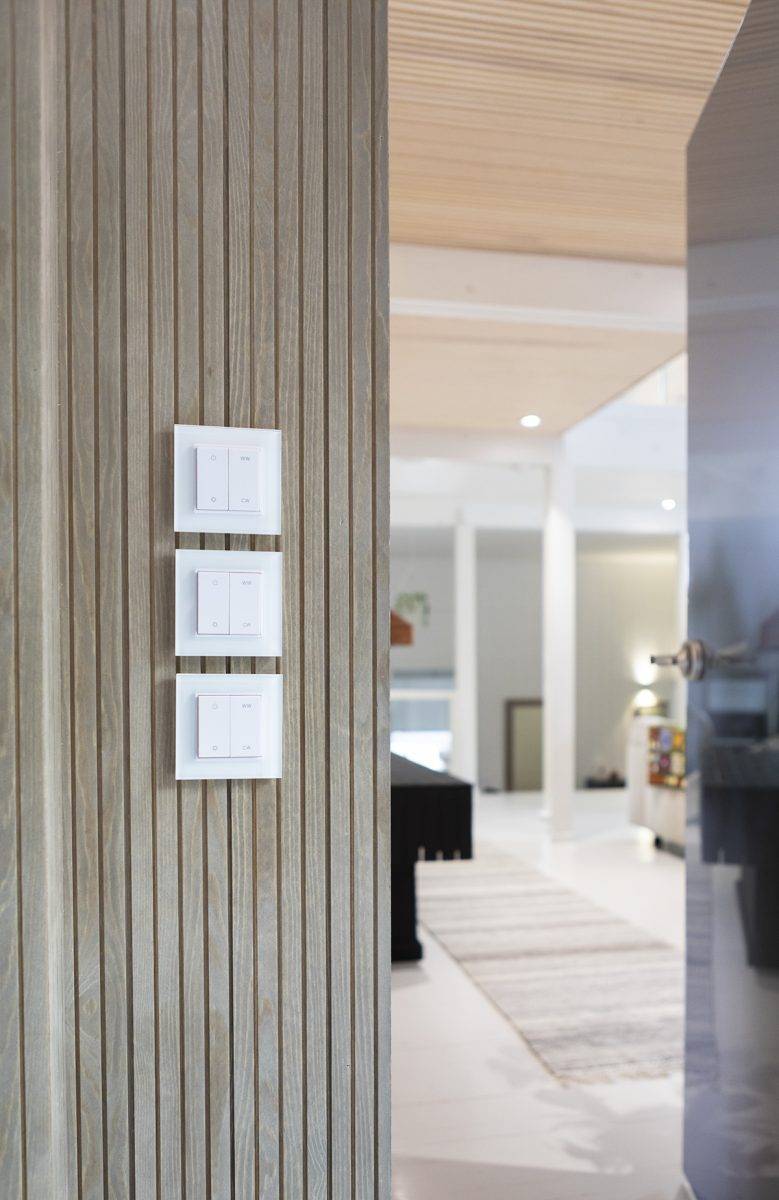 Un fond vert avec un carré blanc au milieu avec le texte "LED STORE" pour des solutions d'éclairage respectueuses de l'environnement.