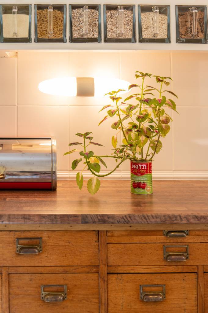 éclairage led cuisine vintage, ampoules led E14
