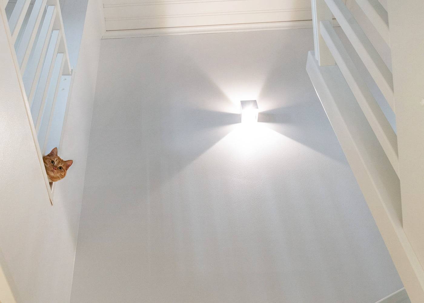 Un chat orange jette un coup d'œil à travers l'escalier ; une applique LED crée des ombres étoilées et ajoute une atmosphère chaleureuse à l'escalier blanc.