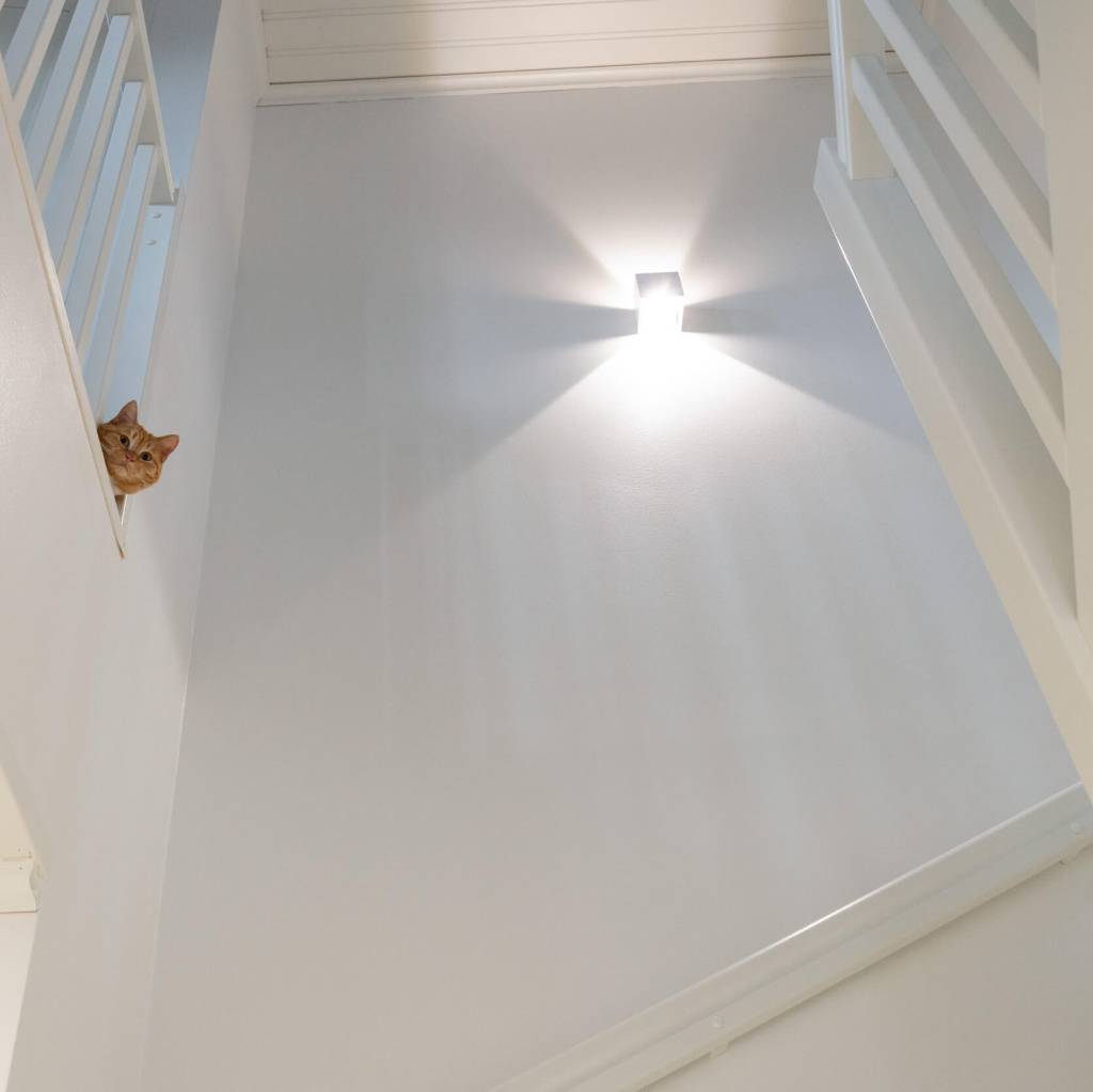 Créez une atmosphère avec la lumière LED, même avec l'applique FUNK