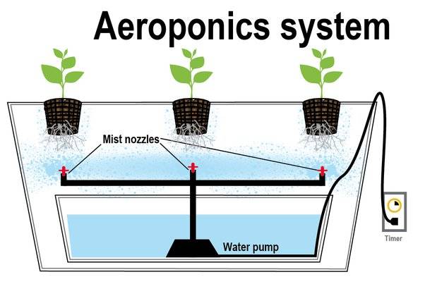 Agriculture aéroponique