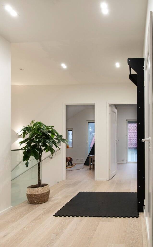 Fond vert avec "LED STORE" en lettres blanches, à l'intérieur d'un carré blanc pour l'image de marque d'un magasin d'éclairage LED.