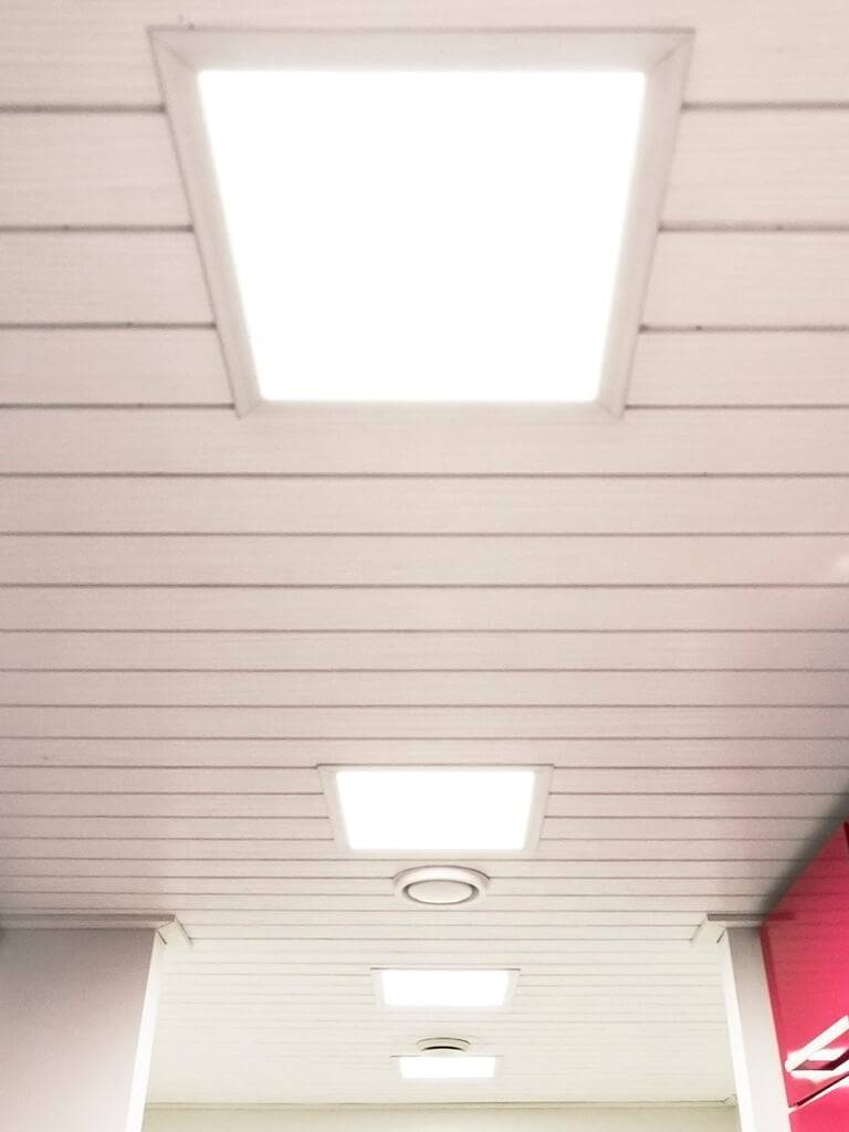 Image d'un fond vert avec un carré blanc au milieu avec les lettres majuscules "LED STORE" en gras. Parfait pour les amateurs d'éclairage LED et les acheteurs.