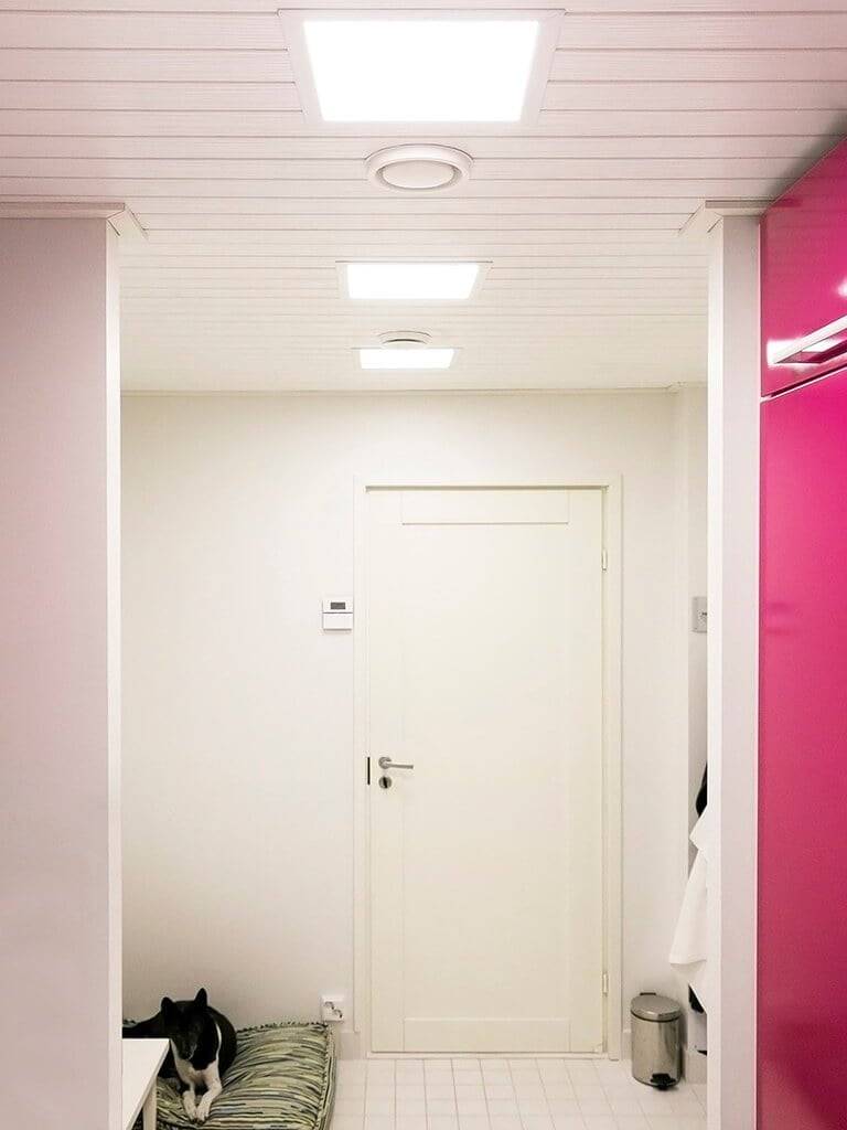 Logo d'un magasin de LED avec un carré blanc et du texte sur un fond vert, promouvant des solutions d'éclairage efficaces sur le plan énergétique.