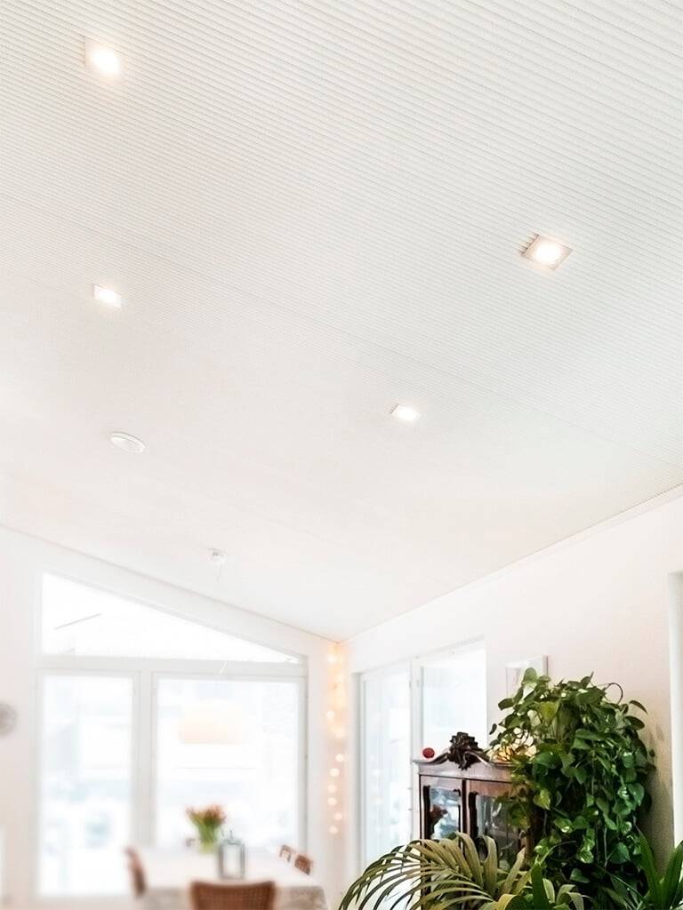 Logo d'un magasin d'éclairage LED sur fond vert avec "LED STORE" en lettres blanches grasses dans un cadre central blanc.