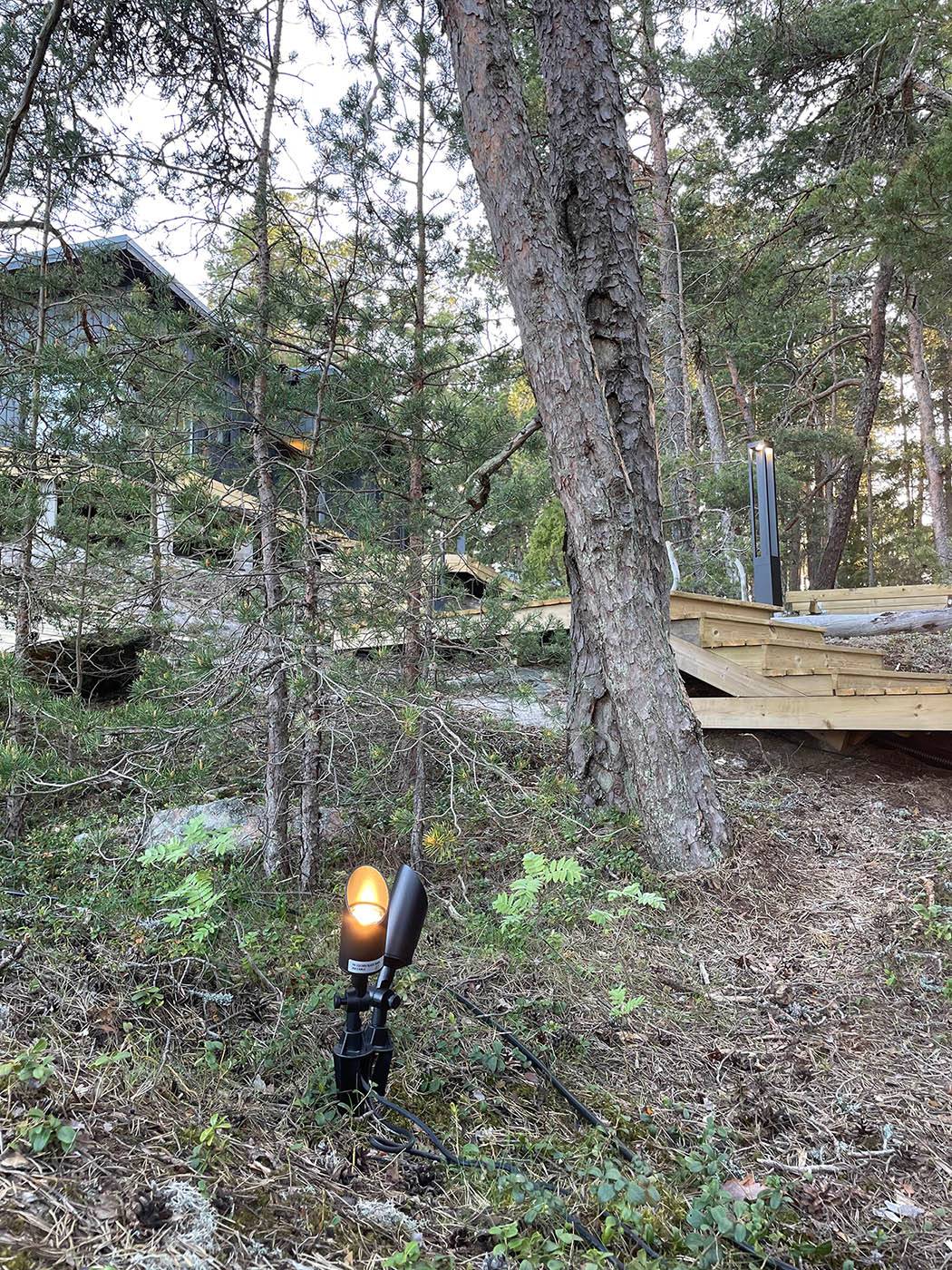 Lampe à piquer éclairant les pins.