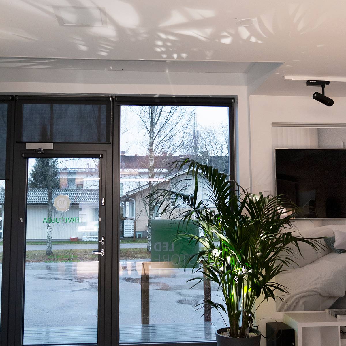 Maapik incliné installé sur une plante d\'intérieur pour la mettre en valeur et apporter un éclairage d\'ambiance à l\'espace. La lumière apportée du bas vers le haut crée également de belles ombres sur le plafond. Ledstore.fi